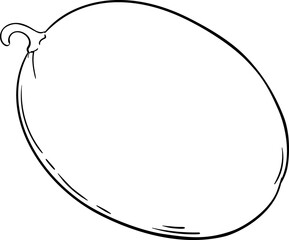 Melon Fruit Outline Illustration
