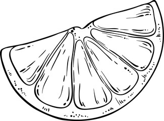 Orange Fruit Outline Illustration
