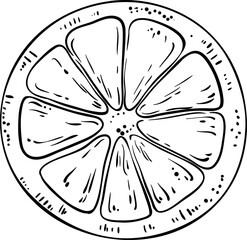 Orange Fruit Outline Illustration
