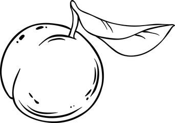 Peach Fruit Outline Illustration.

