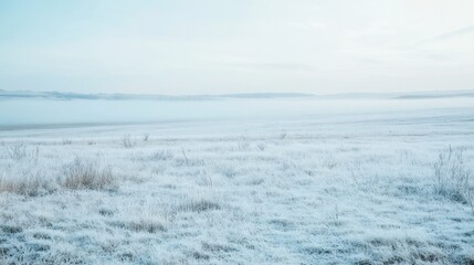 Wide open summer grassland under bright blue sky, dry golden grass swaying in warm wind, peaceful countryside landscape