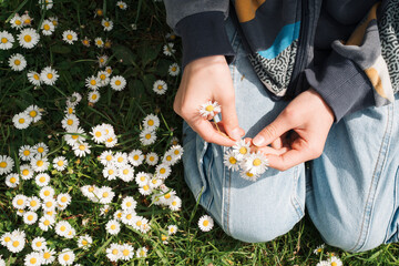 child sitting in a field of daisies picking them to make a chain