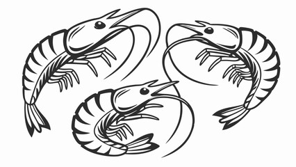 Fototapeta premium Three Stylized Shrimp Illustrations