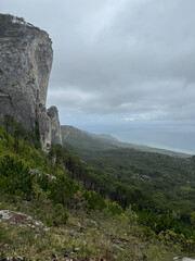 mountain scenery and green forest from the top of the cliff
