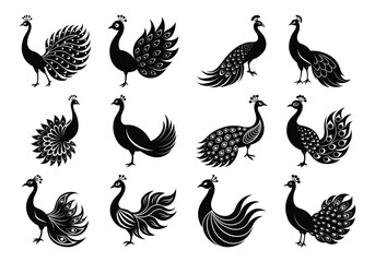 Peacock Silhouette Vector Collection – Elegant Birds with Ornate Tail Feather Designs on white background 

