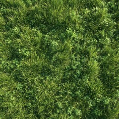 Lush Green Grass Texture with Natural Plants and Sunlight Highlights