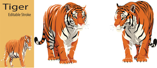 Tiger Illustration &ndash; Editable Vector