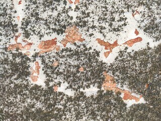 Fototapeta premium Weathered white and red wall with moss patches ideal for grunge effects, background textures, and decay-themed compositions
