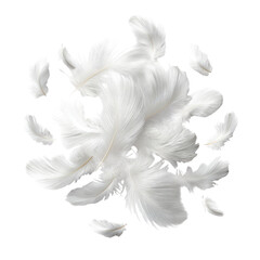 Obraz premium Delicate Feather Cloud Against A Dark Background