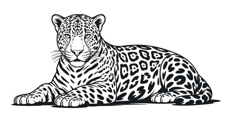 Detailed Black and White Illustration of a Lying Jaguar a Powerful and Graceful Wild Cat with Distinctive Spotted Markings and Intense Gaze © MOHAMMAD