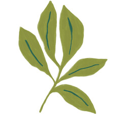 Floral Elements and Branches