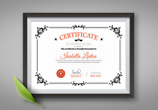 Elegant Certificate Design Template With Border
