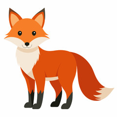 red fox cartoon