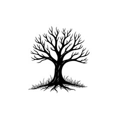 Obraz premium Detailed Line Art Illustration of a Deciduous Tree on a White Background