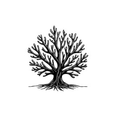 Black and white drawing of a stylized tree with bare branches isolated on white
