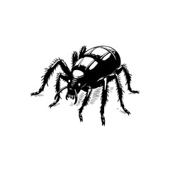 Detailed black and white drawing of a beetle isolated on a white background