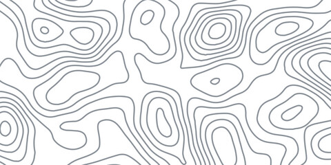 White wave paper curved reliefs abstract background, Abstract topographic contours map background, Topography map background. Vector geographic contour map.