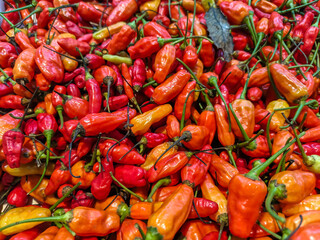 Fresh Red and Yellow Chili Peppers Heap