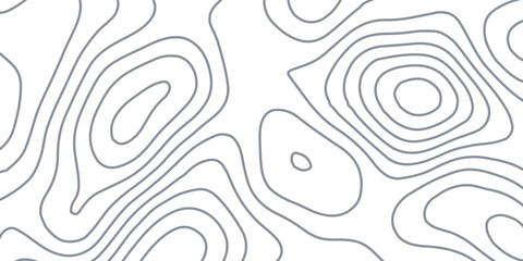White wave paper curved reliefs abstract background, Abstract topographic contours map background, Topography map background. Vector geographic contour map.