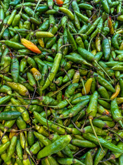 Fresh Green and Yellow Chili Peppers Pile