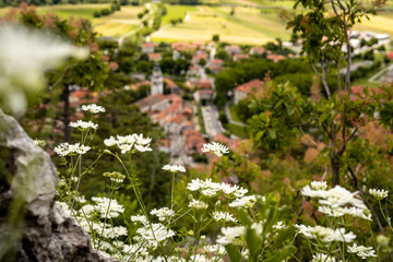 Picturesque View Of Vipava From Castle Ruins: Red-Tiled Rooftops And Church Tower Nestled In Green Valley With Blooming Flowers In Foreground And Rolling Fields In Background, Slovenia