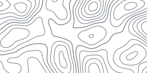 White wave paper curved reliefs abstract background, Abstract topographic contours map background, Topography map background. Vector geographic contour map.