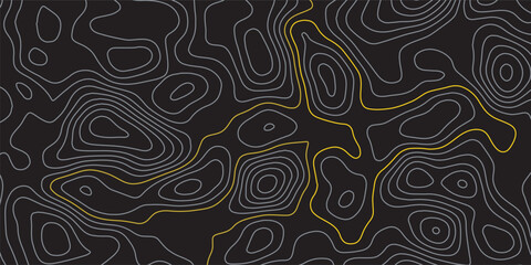 Luxury gold and grey abstract line art background vector. Mountain topographic terrain map background with gold lines texture. Design illustration for wall art, fabric, packaging, banner, wallpaper.