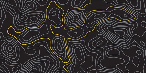 Luxury gold and grey abstract line art background vector. Mountain topographic terrain map background with gold lines texture. Design illustration for wall art, fabric, packaging, banner, wallpaper.