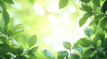 Lush green leaves frame a bright, sunlit scene