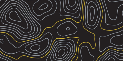 Luxury gold and grey abstract line art background vector. Mountain topographic terrain map background with gold lines texture. Design illustration for wall art, fabric, packaging, banner, wallpaper.