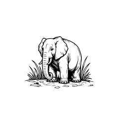 Elegant black and white line art illustration of a majestic elephant in nature
