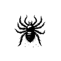 Detailed black and white vector illustration of a creepy and crawly spider