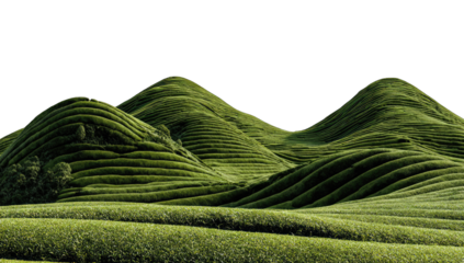 Lush green hills, terraced landscape