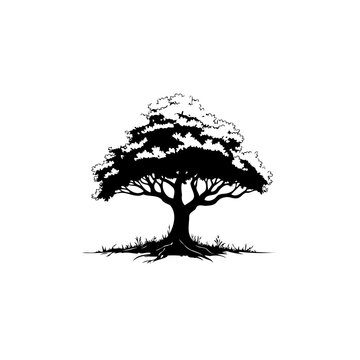 A solitary tree silhouette stands starkly against a white background creating a strong visual impact