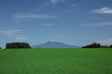Green fields and Mount Shari