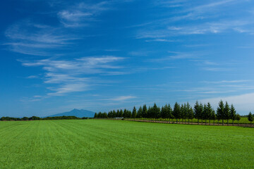 Refreshing breeze and Mount Shari