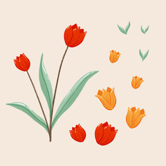 Simple Tulips Flowers Decoration Art