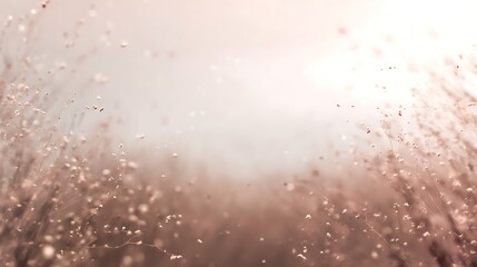 Obraz premium Delicate stems in soft dreamy light