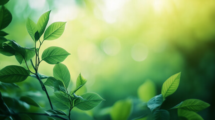 Obraz premium Green leaves. Nature of green leaf in garden at summer.
