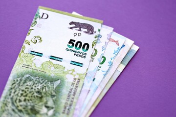 Argentine pesos money bills in big amount lies on purple color table close up