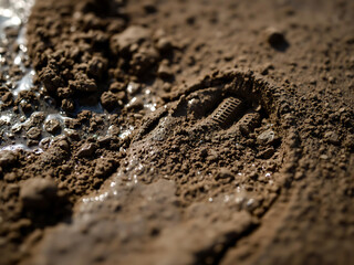 Footprint Edge Detail