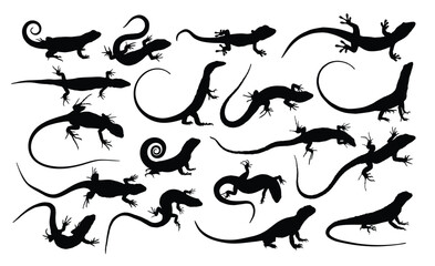 The set of silhouettes of big lizards.
