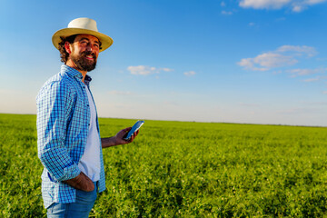 Happy farmer holding smartphone in pea field, enjoying modern technology for agriculture management and crop monitoring on a sunny day with blue sky