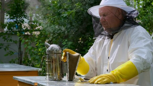 A beekeeper works with the bees and the hives in the apiary. a man in a protective suit at the apiary.