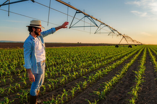 Farmer gestures towards his cornfield, proudly surveying his crops under a center pivot irrigation system at sunset, representing modern agriculture and sustainable farming practices