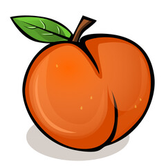 illustration of a beautiful peach