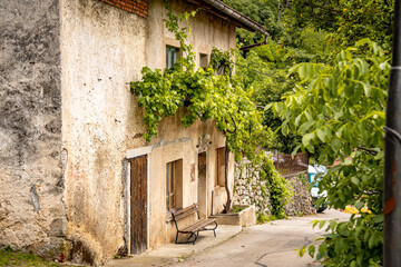 Fototapeta premium Rustic Street Scene In Vipava, Slovenia: Old Stone House With Wooden Doors And A Bench Beneath Overhanging Green Vines Along A Quiet Winding Lane In The Countryside