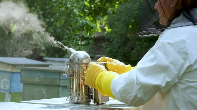 A beekeeper works with the bees and the hives in the apiary. a man in a protective suit at the apiary.