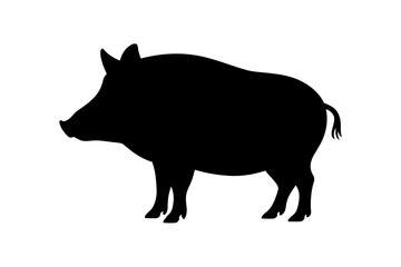 Wild boar silhouette vector illustration animal