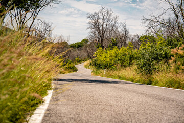 Winding Country Road In Slovenia: Quiet Asphalt Path Curving Through Grassy Verges, Wildflowers, And Forested Hills Under Bright Summer Sunlight